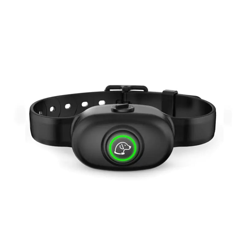 Remote Control Training Equipment for Dogs