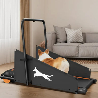 Dog Treadmill for Small and Medium Dogs