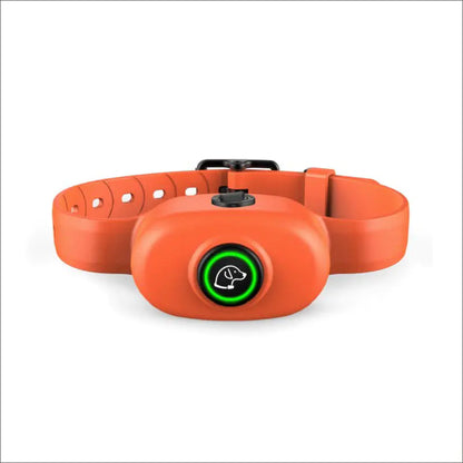 Remote Control Training Equipment for Dogs