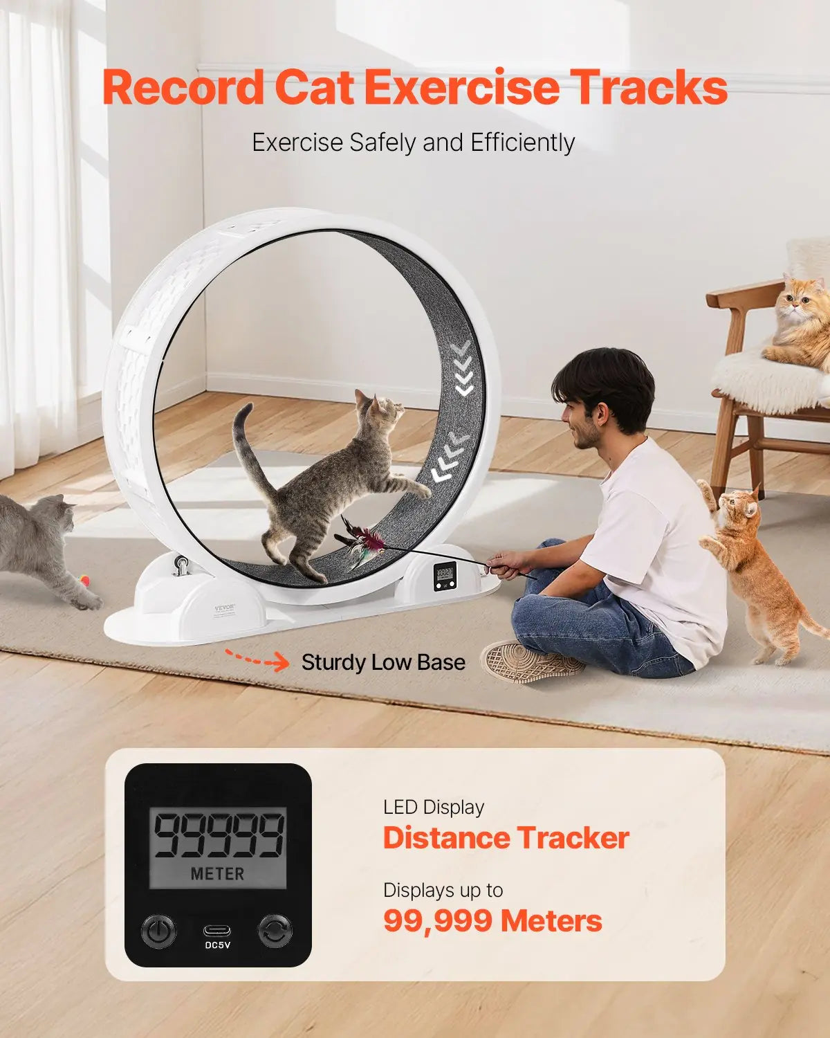 Cat Exercise Wheel with Pedometer